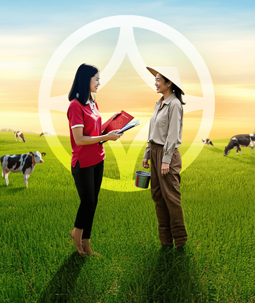 Vay chuỗi đại lý thức ăn chăn nuôi